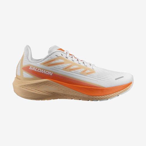 AERO BLAZE 2 (کفش رانینگ زنانه) AERO BLAZE 2 (کفش رانینگ زنانه)