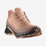 ALPHACROSS 5 GORE-TEX (کفش‌ رانینگ زنانه)