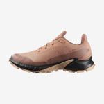 ALPHACROSS 5 GORE-TEX (کفش‌ رانینگ زنانه)