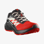 ALPHAGLIDE GORE-TEX (کفش‌ رانینگ مردانه)