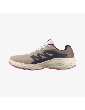 ALPHAGLIDE GORE-TEX (کفش‌ رانینگ زنانه)