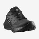 ALPHAGLIDE GORE-TEX (کفش‌ رانینگ مردانه)