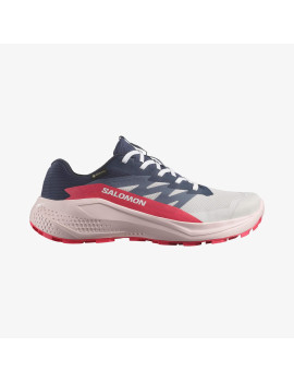 ALPHAGLIDE GORE-TEX (کفش‌ رانینگ زنانه)