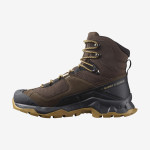 QUEST ELEMENT GORE-TEX (بوت فضای باز مردانه)