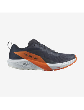 SENSE RIDE 5 GORE-TEX (کفش‌ رانینگ مردانه)