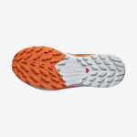SENSE RIDE 5 GORE-TEX (کفش‌ رانینگ مردانه)