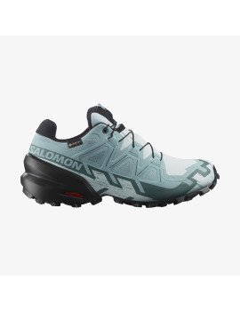 SPEEDCROSS 6 GORE-TEX (کفش‌ رانینگ زنانه)