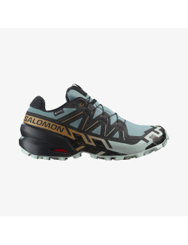 SPEEDCROSS 6 GORE-TEX (کفش‌ رانینگ مردانه)