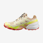 SPEEDCROSS 6 GORE-TEX (کفش‌ رانینگ زنانه)