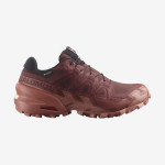 SPEEDCROSS 6 GORE-TEX (کفش‌ رانینگ زنانه)