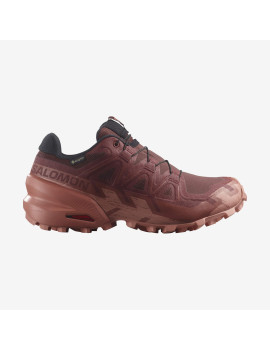 SPEEDCROSS 6 GORE-TEX (کفش‌ رانینگ زنانه)