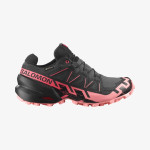 SPEEDCROSS 6 GORE-TEX (کفش‌ رانینگ زنانه)