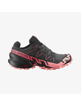 SPEEDCROSS 6 GORE-TEX (کفش‌ رانینگ زنانه)