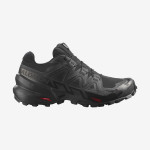 SPEEDCROSS 6 GORE-TEX (کفش‌ رانینگ زنانه)