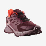 SUPERCROSS 4 GORE-TEX (کفش‌ رانینگ زنانه)
