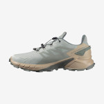 SUPERCROSS 4 GORE-TEX (کفش‌ رانینگ مردانه)