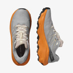 ULTRA FLOW 2 GORE-TEX (کفش‌ رانینگ مردانه)