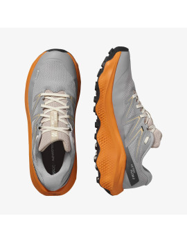 ULTRA FLOW 2 GORE-TEX (کفش‌ رانینگ مردانه)