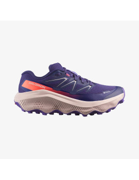 ULTRA FLOW 2 GORE-TEX (کفش‌ رانینگ زنانه)