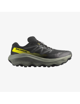 ULTRA FLOW 2 GORE-TEX (کفش‌ رانینگ مردانه)