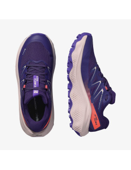 ULTRA FLOW 2 GORE-TEX (کفش‌ رانینگ زنانه)