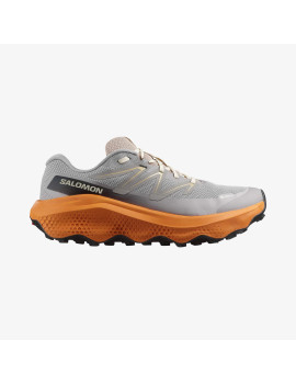 ULTRA FLOW 2 GORE-TEX (کفش‌ رانینگ مردانه)
