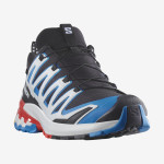 XA PRO 3D V9 GORE-TEX (کفش‌ فضای باز مردانه)