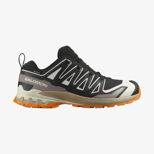 XA PRO 3D V9 GORE-TEX (کفش فضای باز مردانه) XA PRO 3D V9 GORE-TEX (کفش فضای باز مردانه)