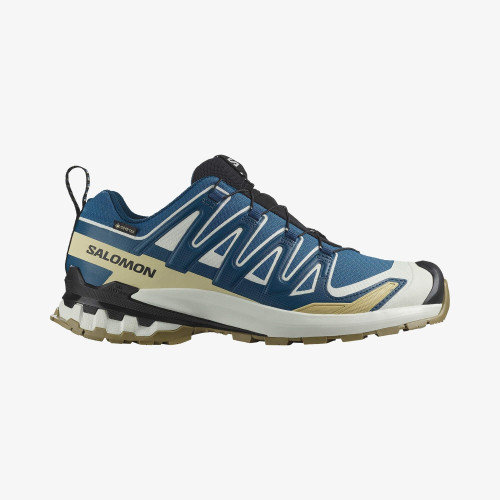 XA PRO 3D V9 GORE-TEX (کفش‌ فضای باز مردانه)