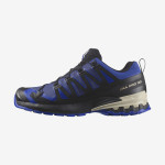 XA PRO 3D V9 GORE-TEX (کفش‌ فضای باز مردانه)