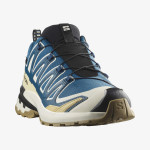 XA PRO 3D V9 GORE-TEX (کفش‌ فضای باز مردانه)