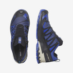 XA PRO 3D V9 GORE-TEX (کفش‌ فضای باز مردانه)