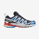 XA PRO 3D V9 GORE-TEX (کفش‌ فضای باز مردانه)