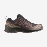 XA PRO 3D V9 GORE-TEX (کفش‌ فضای باز مردانه)