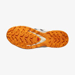 XA PRO 3D V9 GORE-TEX (کفش‌ فضای باز مردانه)