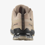 XA PRO 3D V9 GORE-TEX (کفش‌ فضای باز مردانه)
