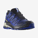 XA PRO 3D V9 GORE-TEX (کفش‌ فضای باز مردانه)