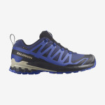 XA PRO 3D V9 GORE-TEX (کفش‌ فضای باز مردانه)