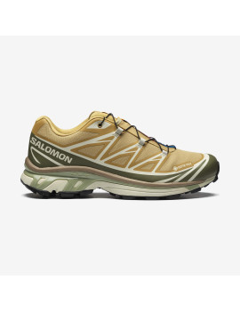 XT-6 GORE-TEX (کفش کتانی یونیسکس) XT-6 GORE-TEX (کفش کتانی یونیسکس)