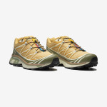 XT-6 GORE-TEX (کفش کتانی یونیسکس) XT-6 GORE-TEX (کفش کتانی یونیسکس)