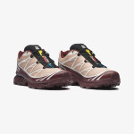 XT-6 GORE-TEX (کفش کتانی یونیسکس) XT-6 GORE-TEX (کفش کتانی یونیسکس)