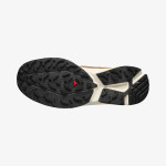 XT-EVR GORE-TEX (کفش ورزشی مردانه)