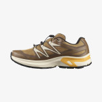 XT-EVR GORE-TEX (کفش ورزشی مردانه)
