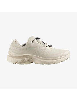 XT-EVR GORE-TEX (کفش ورزشی مردانه)