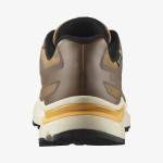 XT-EVR GORE-TEX (کفش ورزشی مردانه)