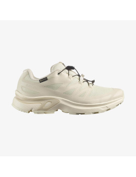 XT-EVR GORE-TEX (کفش ورزشی زنانه)