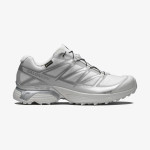 XT-PATHWAY GORE-TEX (کفش کتانی یونیسکس) XT-PATHWAY GORE-TEX (کفش کتانی یونیسکس)